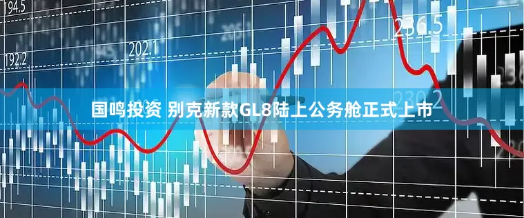 国鸣投资 别克新款GL8陆上公务舱正式上市