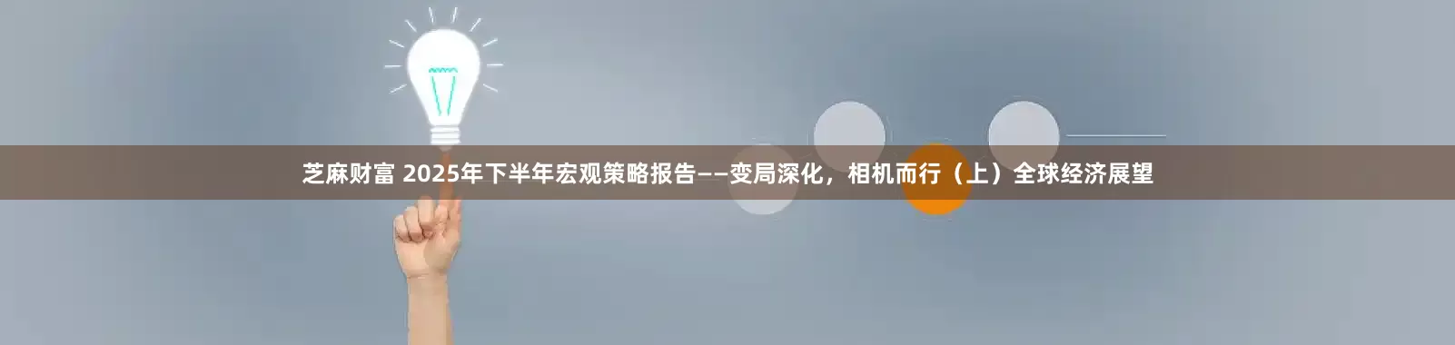 芝麻财富 2025年下半年宏观策略报告——变局深化，相机而行（上）全球经济展望