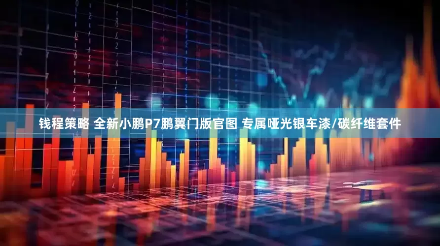 钱程策略 全新小鹏P7鹏翼门版官图 专属哑光银车漆/碳纤维套件