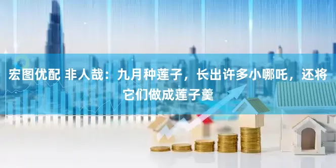 宏图优配 非人哉：九月种莲子，长出许多小哪吒，还将它们做成莲子羹