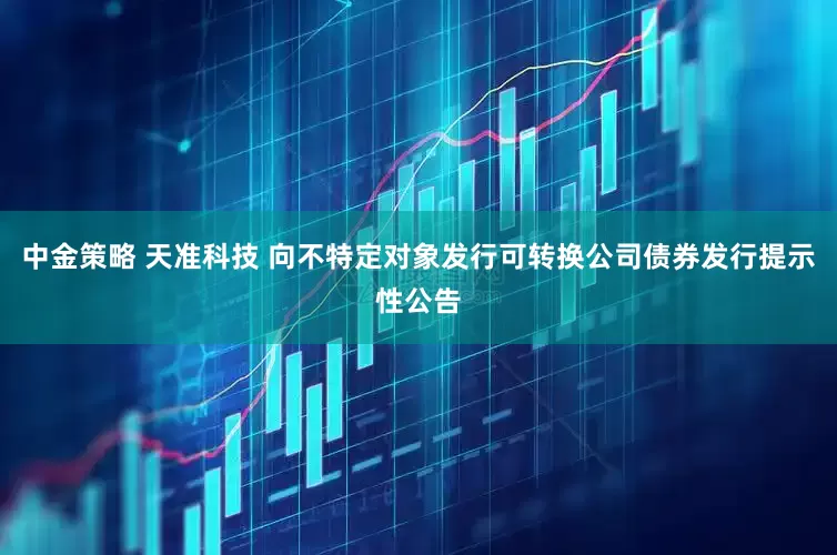 中金策略 天准科技 向不特定对象发行可转换公司债券发行提示性公告
