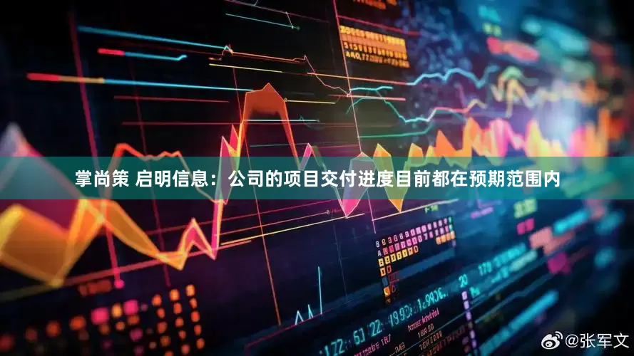 掌尚策 启明信息：公司的项目交付进度目前都在预期范围内