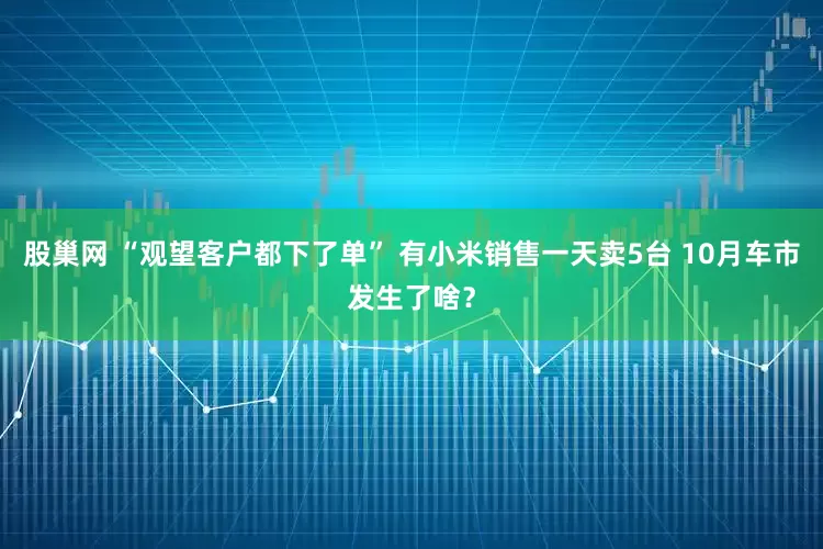 股巢网 “观望客户都下了单” 有小米销售一天卖5台 10月车市发生了啥？